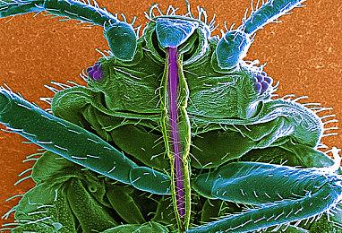 钛核公布NS版《暗影火炬城》详情 7月12日正式发售